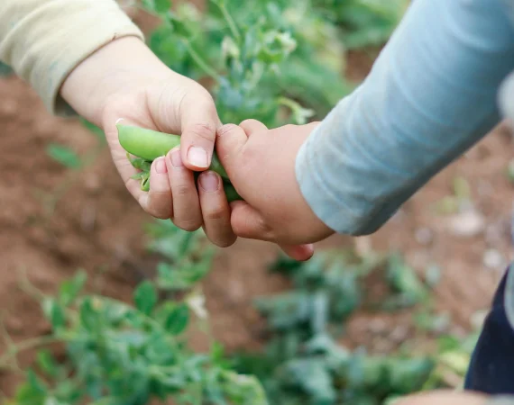 deux enfants s'échangent des légumes dans un champ - association 1m2 ma santé