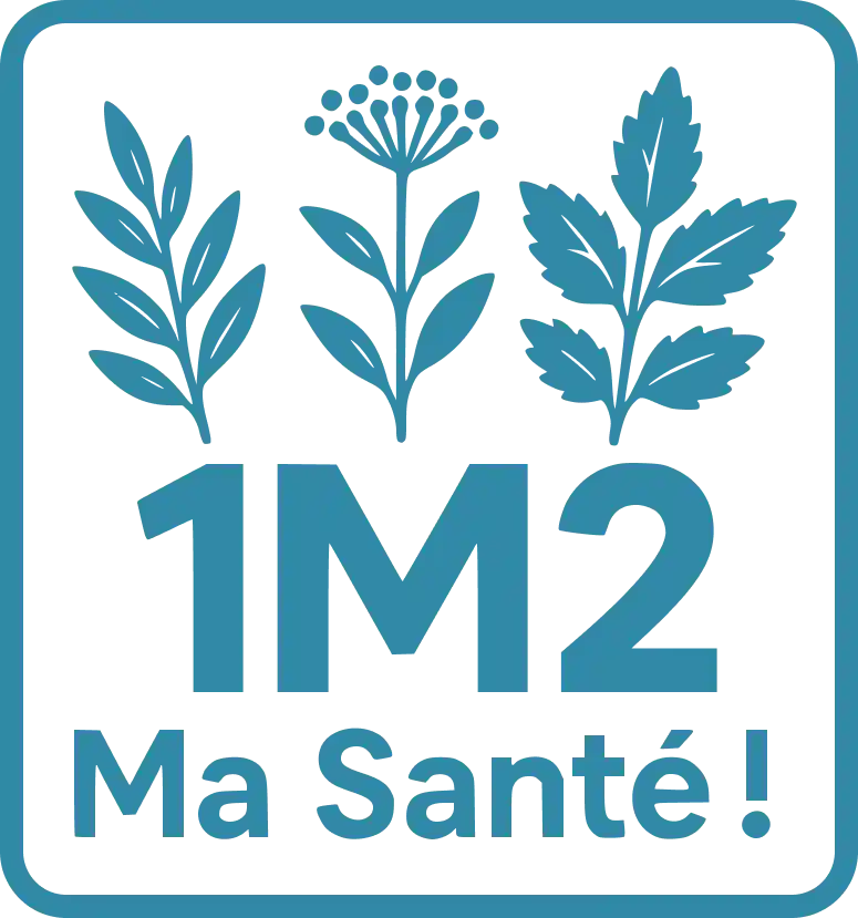 logo 1m2 : ma santé !